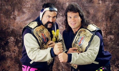 WWE Rick and Scott Steiner