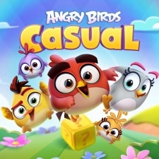 Angry Birds Casual Game