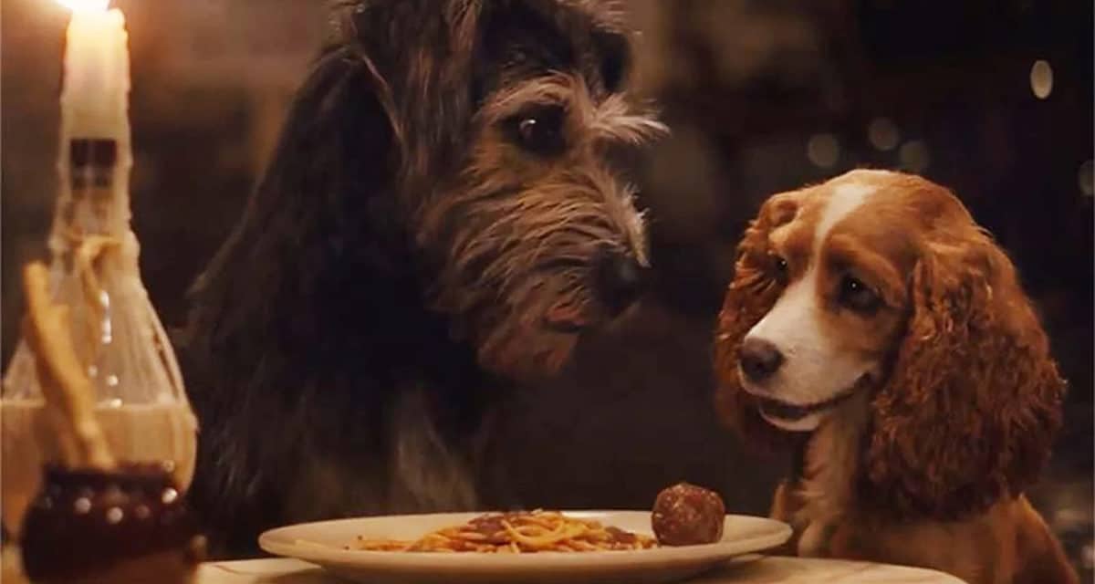 Lady And The Tramp On Disney+ Review: More Story, Less Charm