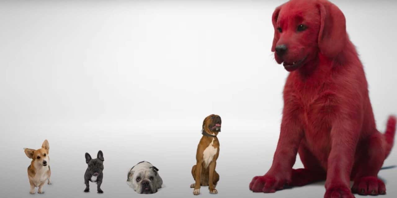 Live-Action Clifford the Big Red Dog Movie Gets an Adorably Tiny Teaser