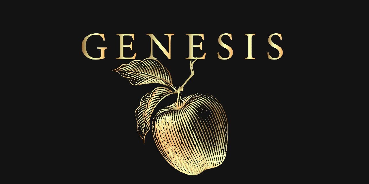 Genesis Theory Review: A Morbidly Gorgeous Short Story