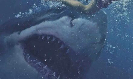 Great White Movie Review: Innocuous Shark Movie Lacks Bite