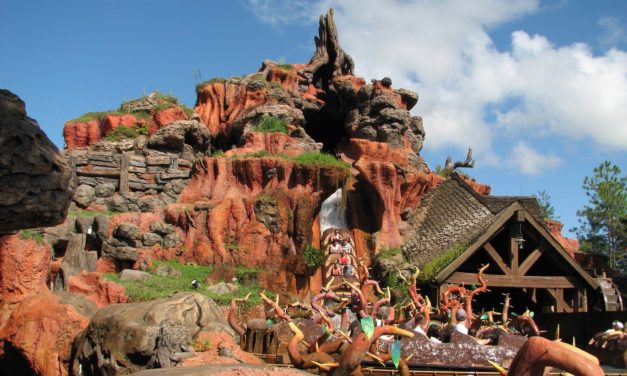 Splash Mountain 2.0 Will Be a Spiritual Sequel To The Princess and the Frog Film