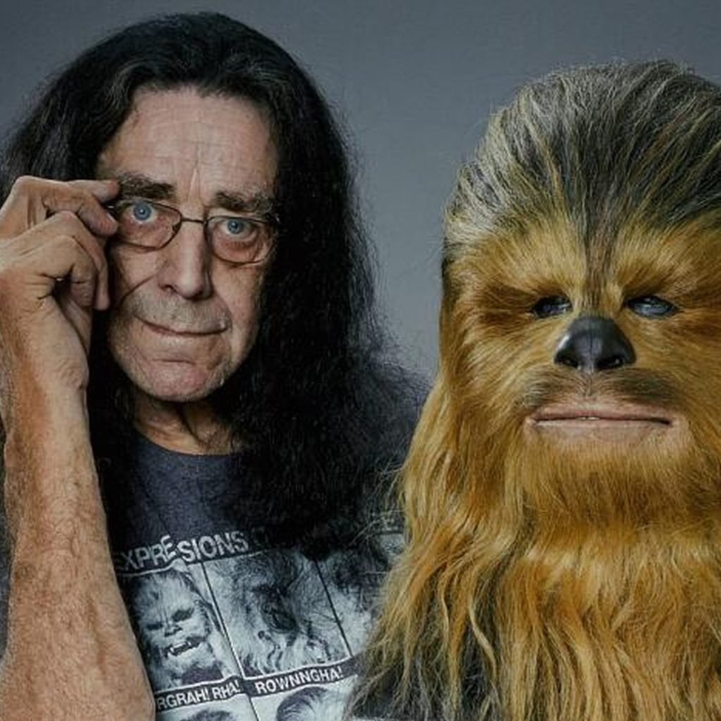Peter Mayhew Had Protection While Filming Endor Scenes as Chewbacca - The Illuminerdi